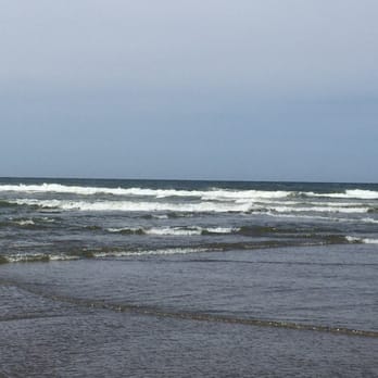 Shakti Cove Cottages - Beach out behind the cottages - Hotels Near Me - Ocean Park, Washington