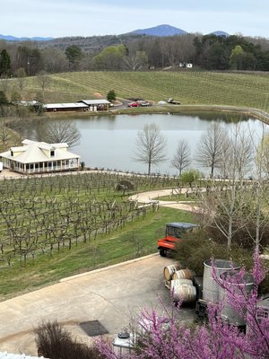 Frogtown Cellars by null