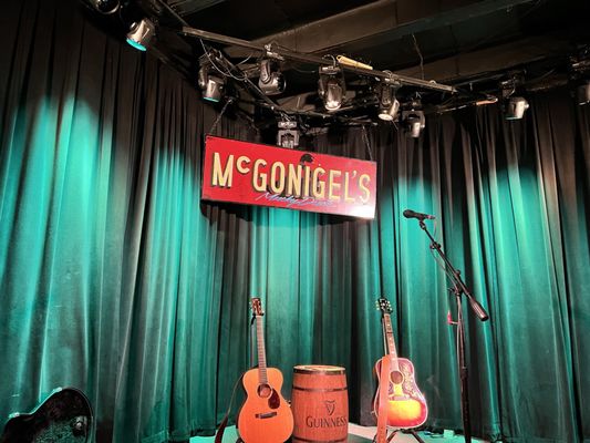 McGonigel's Mucky Duck by null