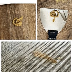 Heavenly Home Cleaning And Organizing - Dried up cat and dog shit!