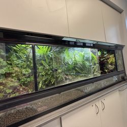 Ark Veterinary Hospital