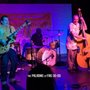 Photo of Stellar Shows & Concerts