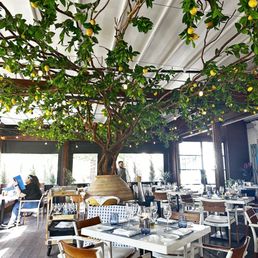 DOLCE RIVIERA - Updated February 2025 - 627 Photos & 488 Reviews - 2950