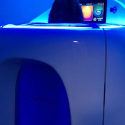 Bellis - Cryotherapy