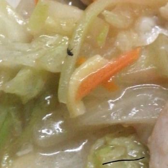 Chens Restaurant - I wish i could upload the video but you can still very obviously see a fly stuck to a piece of cabbage. - Chinese Near Me - Lansing, Michigan