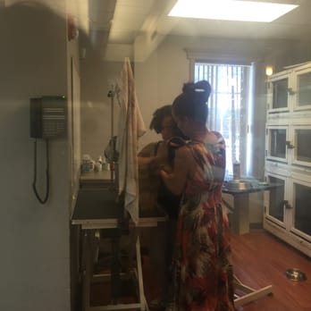 NY Breeder - Nice and clean, ready to come home! - Pet Training Near Me - White Plains, New York NY Breeder - Nice and clean, ready to come home! - Pet Training Near Me - White Plains, New York
