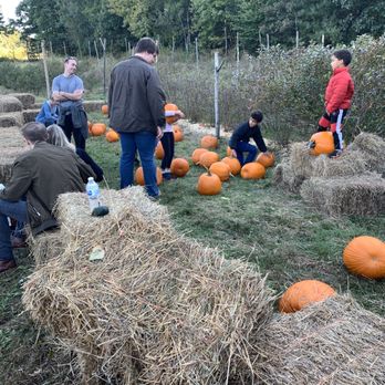 Carver Hill Orchards - Pumpkin patch - Fruits & Veggies Near Me - Stow, Massachusetts