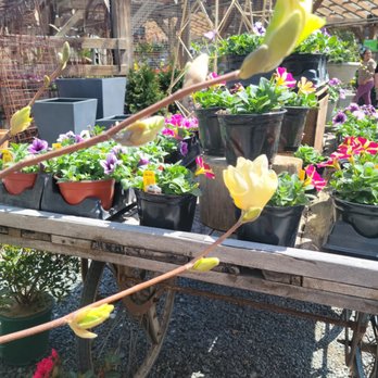 Shakespeare's Garden - Landscape Architects or Designers Near Me - Brookfield, Connecticut