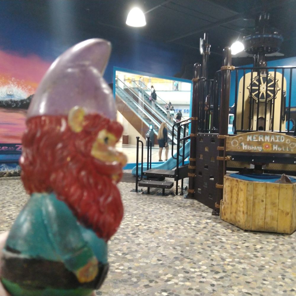 Blue Zoo - Aquariums Near Me - Baton Rouge, Louisiana