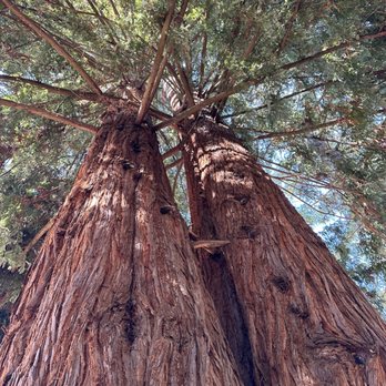 The Land - Venues & Event Spaces Near Me - Philo, California