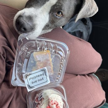 Wandaful Things - Lemon bar and red velvet cupcake with my sweet dog - Salad Near Me - Kingsland, Georgia