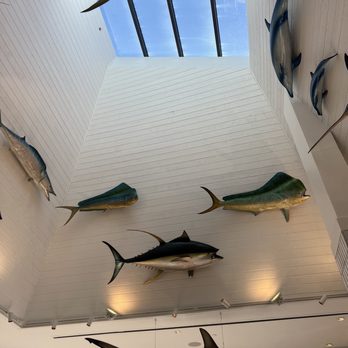 Bear Flag Fish - Interior - Seafood Markets Near Me - Newport Beach, California Bear Flag Fish - Interior - Seafood Markets Near Me - Newport Beach, California