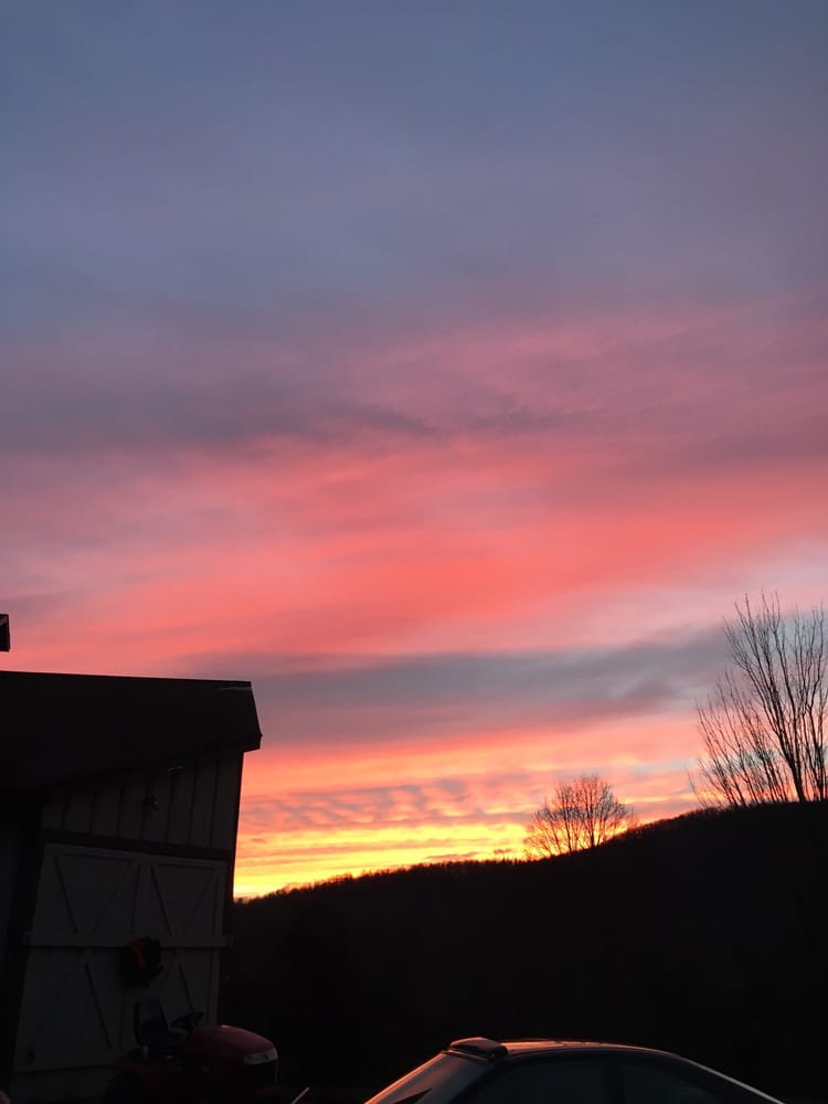 Royal Rock Equestrian Center Logo