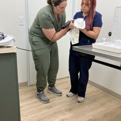 Agave Veterinary Care and Exotic Animal Hospital