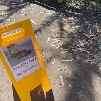 Monarch Butterfly Grove - DEFINITELY WATCH OUT! - Parks Near Me