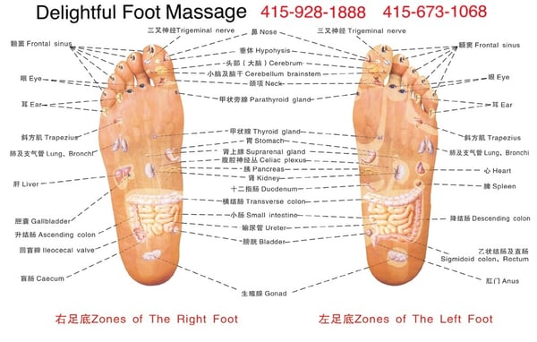 Foot Massage - A foot massage may be just what your feet need at the end of a long day. Foot massages can alleviate foot aches and even pain in the legs and back. Massage has a relaxing effect that can help to reduce stress as well. Foot massage is the practice of touching or rubbing the feet to enhance health and well being. It is usually done for the purpose of increasing circulation to the feet, aiding the lymphatic system to remove waste products from that area, relaxing tight muscles, loosening scar tissue adhesions or bringing balance to the energetic systems of the body that serve the feet. In addition, reflexology also works with the nerve endings in the feet to affect organs and tissues in distant areas of the body. Foot Massage - A foot massage may be just what your feet need at the end of a long day. Foot massages can alleviate foot aches and even pain in the legs and back. Massage has a relaxing effect that can help to reduce stress as well. Foot massage is the practice of touching or rubbing the feet to enhance health and well being. It is usually done for the purpose of increasing circulation to the feet, aiding the lymphatic system to remove waste products from that area, relaxing tight muscles, loosening scar tissue adhesions or bringing balance to the energetic systems of the body that serve the feet. In addition, reflexology also works with the nerve endings in the feet to affect organs and tissues in distant areas of the body.
