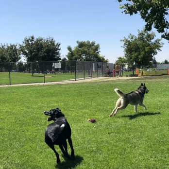 Morse Dog Park - Dog Parks Near Me - Elk Grove, California