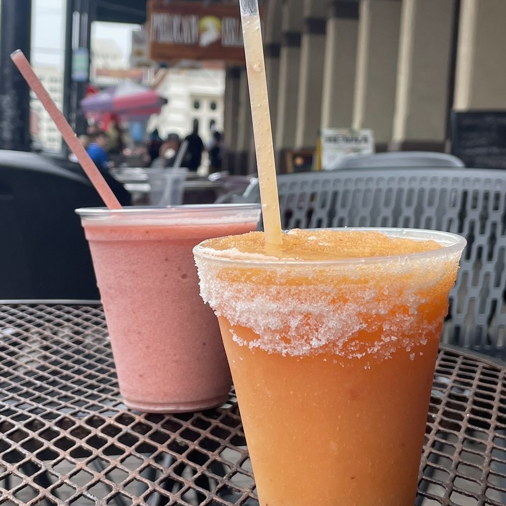 Collared Trogon Trinidad and Tobago, image size:1000x1000