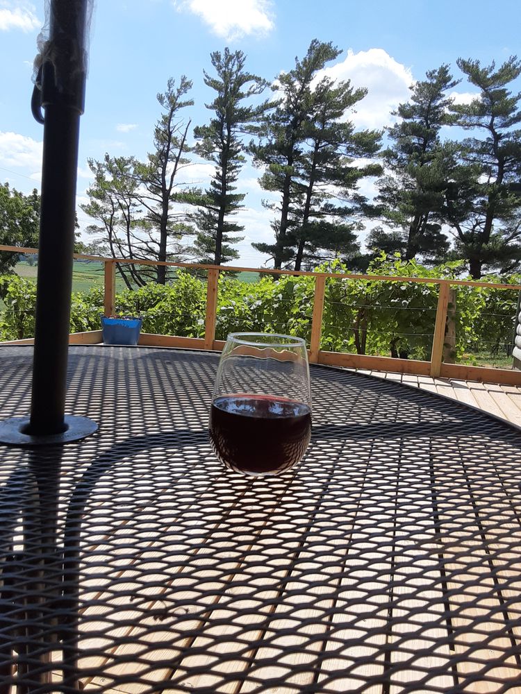 Thunder Creek Winery - vineyard in Pella, IA