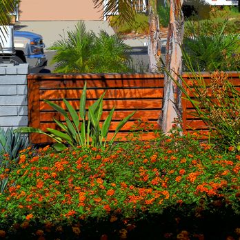 CP Landscapes - Horizontal fence with tropical plants - Landscaping Near Me - Morro Bay, California CP Landscapes - Horizontal fence with tropical plants - Landscaping Near Me - Morro Bay, California