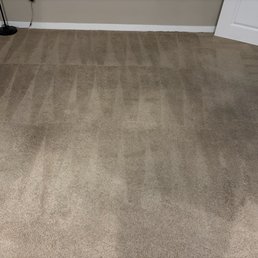 Freshly cleaned carpet, looks beautiful in brand new Freshly cleaned carpet, looks beautiful in brand new