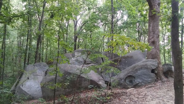 Big Rock Nature Preserve by null