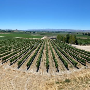 Koenig Vineyards - View from the tower - Distilleries Near Me - Caldwell, Idaho