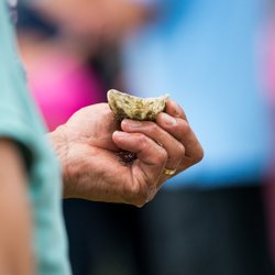 Zilt en Zalig - De oesterman op locatie