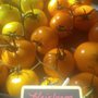 Photo of Mesa Community Farmers' Market