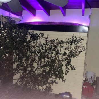 The Roofer - The photo depicts a ceiling with a fan that has dark blades, illuminated by purple LED lighting. A white brick wall is visible, with a large leafy plant positioned in front of it. The floor is tiled with reddish-brown bricks, and there is a red fire extinguisher and some equipment near the wall. The setting appears to be an indoor or covered outdoor space. - Roofing Near Me