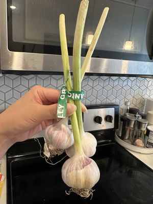 LA Rivers Farmers' Market by null