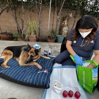 Gemcore Veterinary Services - Veterinarians Near Me - Chatsworth, California Gemcore Veterinary Services - Veterinarians Near Me - Chatsworth, California