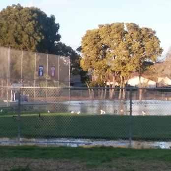 Stenzel Park - Off season lake developing - Parks Near Me - San Leandro, California Stenzel Park - Off season lake developing - Parks Near Me - San Leandro, California