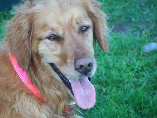 Leisure Life Hotel and restaurant by null