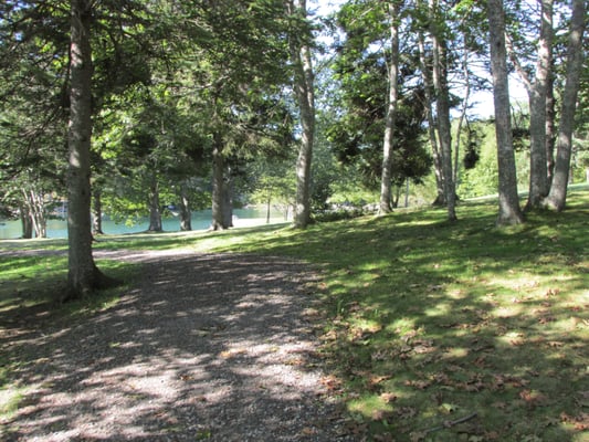 Barrett's Park by null