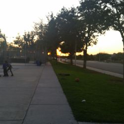 Paragon Park
