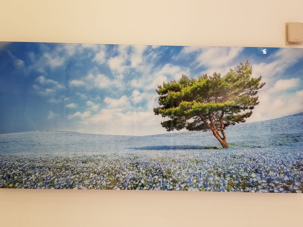 National Geographic Fine Art Galleries, New York Roadtrippers