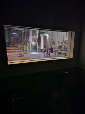 Galveston Island Brewing by null