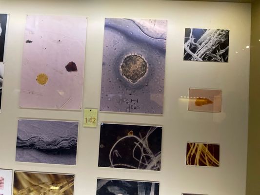 Museo della Sindone by null