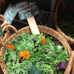 Photo of Urban Radish - Los Angeles, CA, United States. A salad with flowers in it, yes!