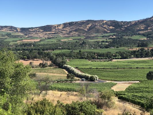 Antinori Napa Valley by null