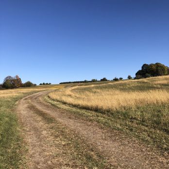 Apple Hill Farm - Road up to apple picking area - Fruits & Veggies Near Me - New Paltz, New York