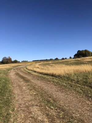 Apple Hill Farm by null