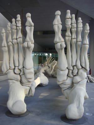 MAXXI - National Museum of 21st Century Art by null