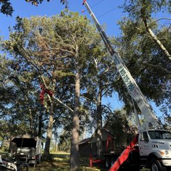 Matias Tree Service