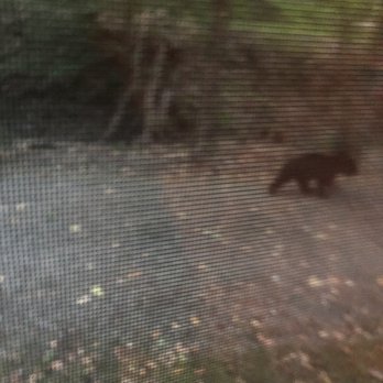 Wapiti Woods - Guest Houses Near Me - Weedville, Pennsylvania Wapiti Woods - Guest Houses Near Me - Weedville, Pennsylvania