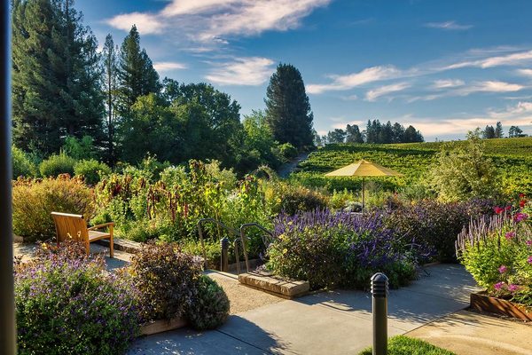 Lynmar Estate Winery by null
