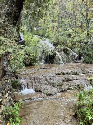 Natural Bridge State Park by null