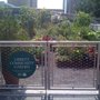 Photo of Liberty Community Gardens