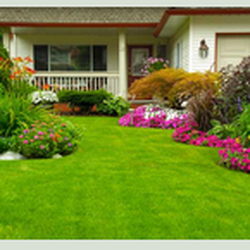 Sabia Landscaping & Tree Service